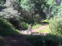 Mountain bike tours Australia image 7